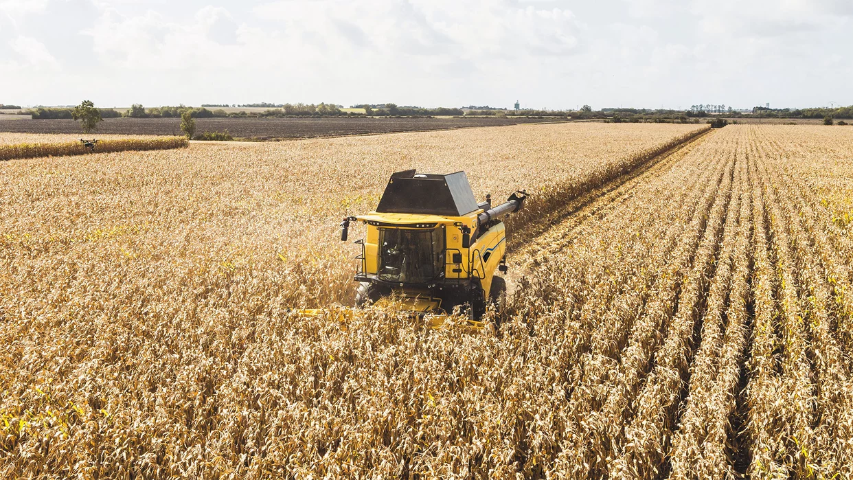cx7-cx8-stage-v-maize-headers.webp
