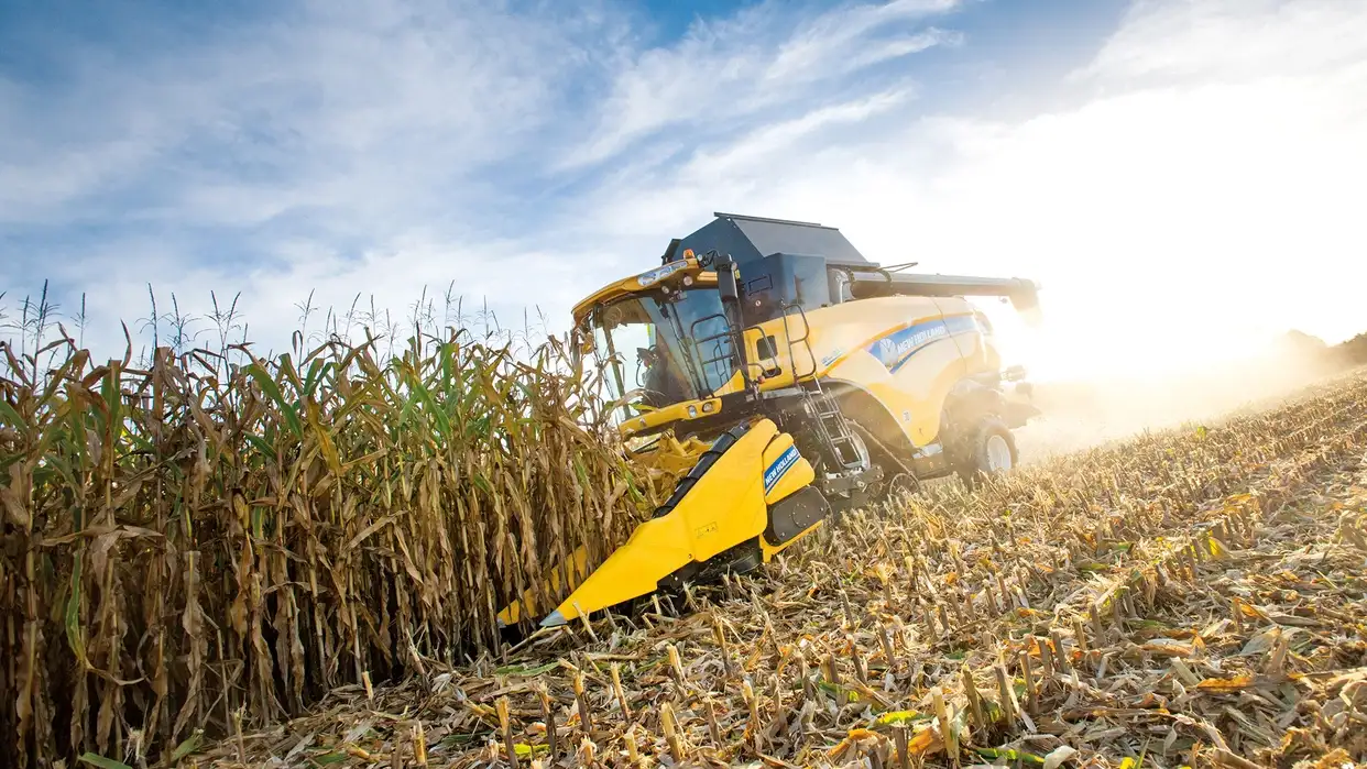 Moissonneuse-batteuse New Holland équipée d un cueilleur à maïs en récolte