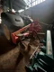 Outil du sol non animé AGRAM GEO COMBI 306